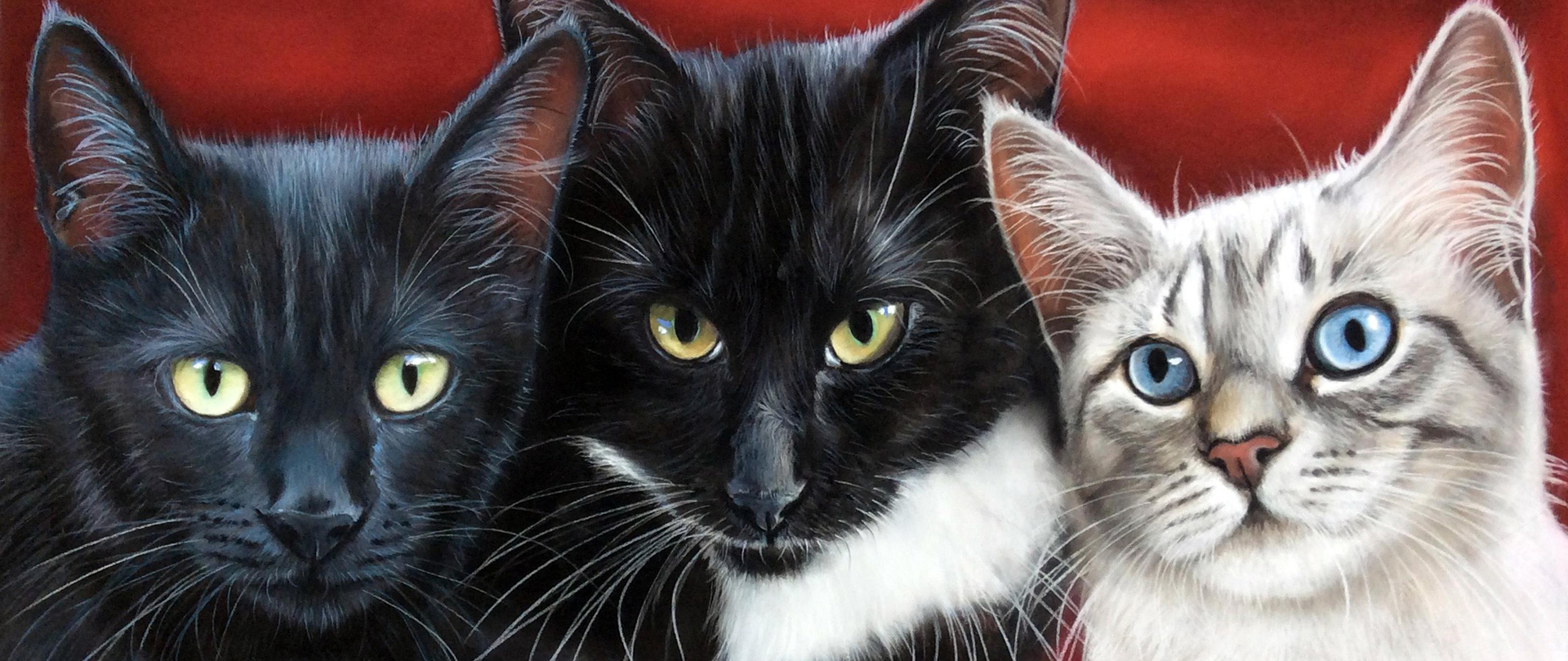 Tiere in Pastell - faszinierend realistisch