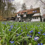 Haus mit schönen lila Blumen