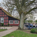 Nina Niederhuasen Worpswede April 2026 @ Dr.Cornelia Stasch-Albers